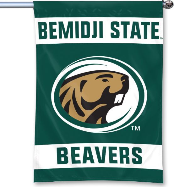 Bemidji State University Banner