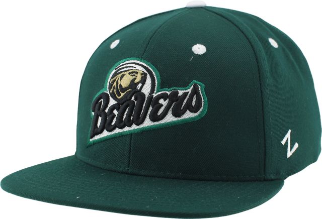 Bemidji State University Beavers Flat Bill Snapback Cap