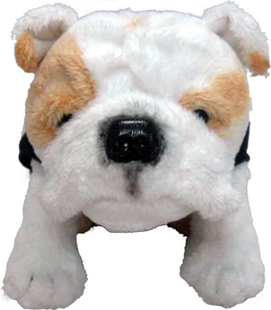 Stuffed deals american bulldog