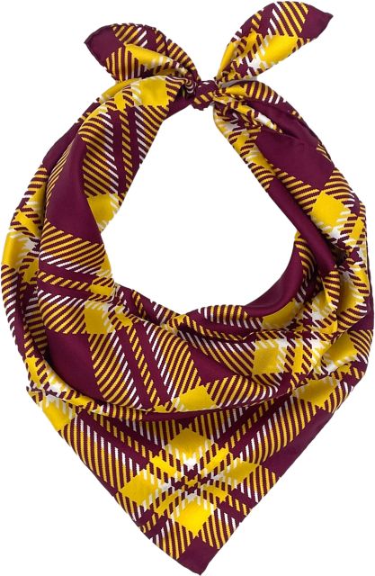 Arizona State University Handkerchief