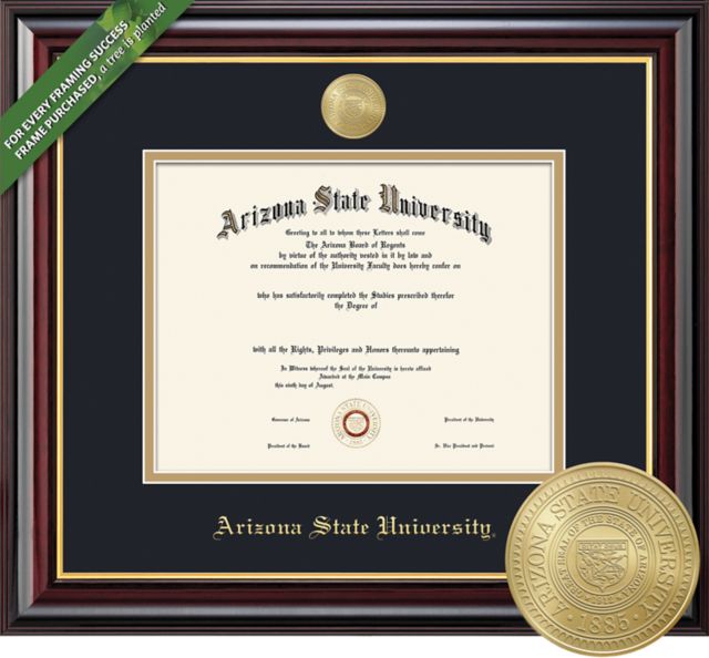 Framing Success 11 x 14 Doctorate/MA of Law Diploma with Black and Gold double mat and gold-minted medallion - ONLINE ONLY