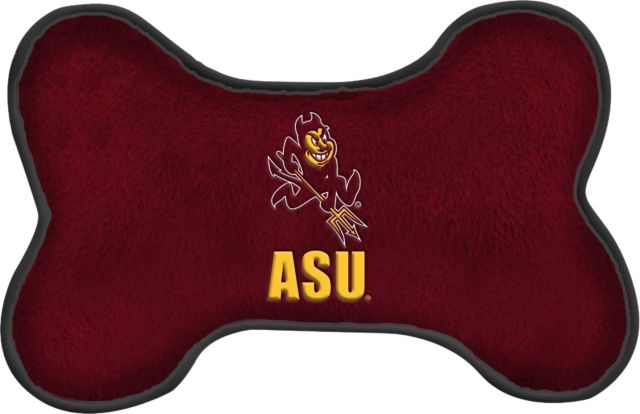Arizona State University Flying Disc