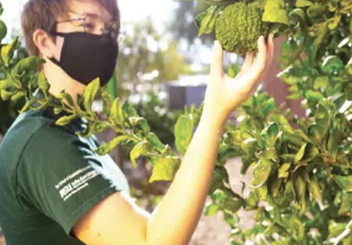 Sustainability