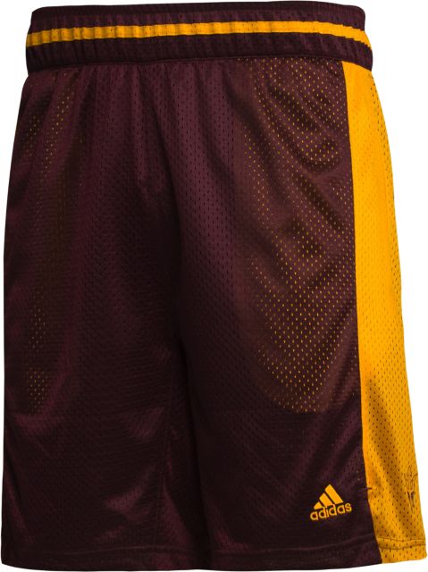 Arizona State University Swingman Jersey