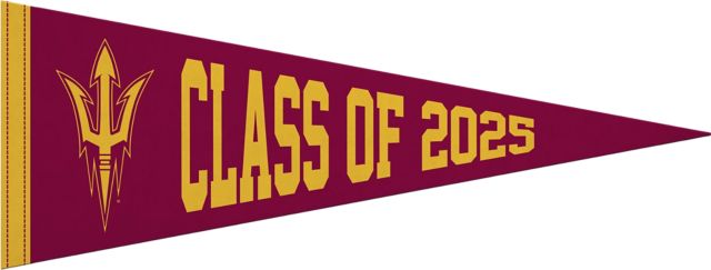 Arizona State University 9x24 Pennant