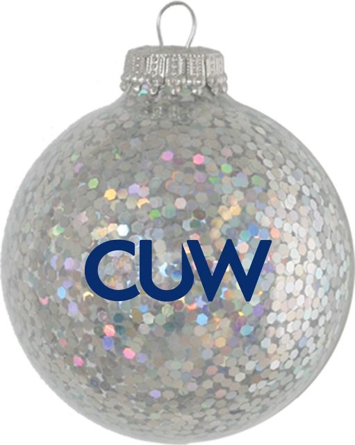Sparkle Glass Ball Ornament