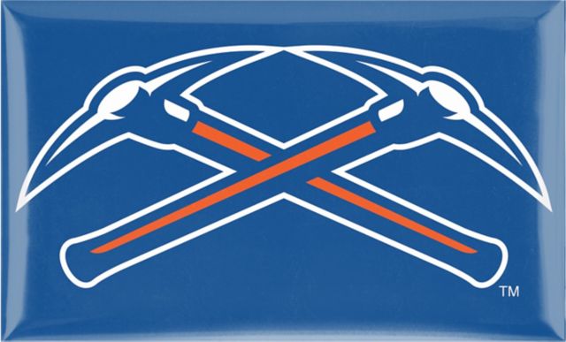 University of Wisconsin - Platteville Pioneers 3x5 Dome Magnet