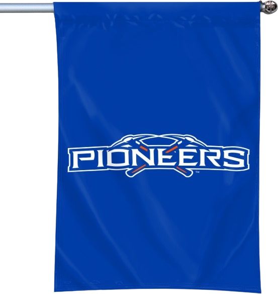 University of Wisconsin - Platteville Banner