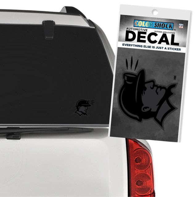 University of Wisconsin - Platteville Pioneers Decal