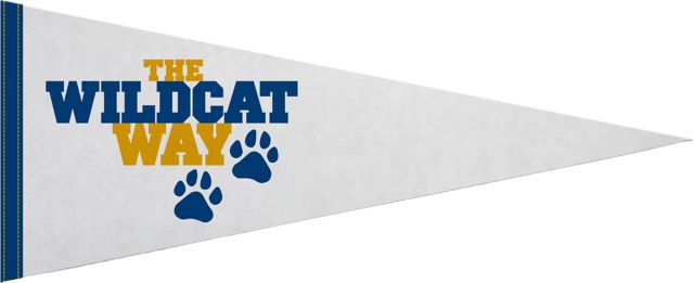 Johnson & Wales University 12x30 Pennant