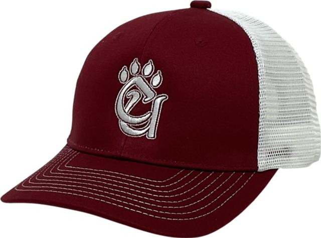 Concord University Structured Mesh Cap