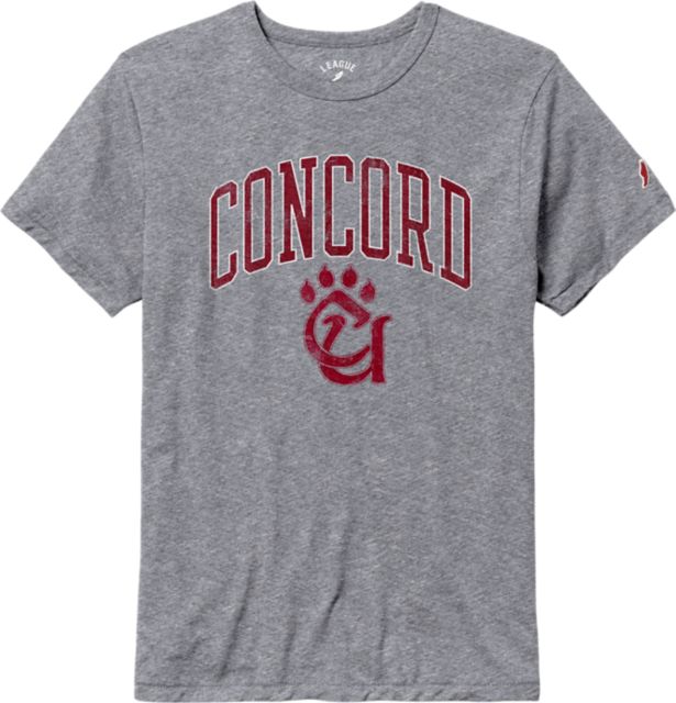 Concord University Mountain Lions Victory Falls T-Shirt