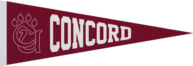Concord University Mountain Lions 5x15 Pennant