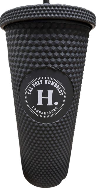 Galway Travel Tumbler