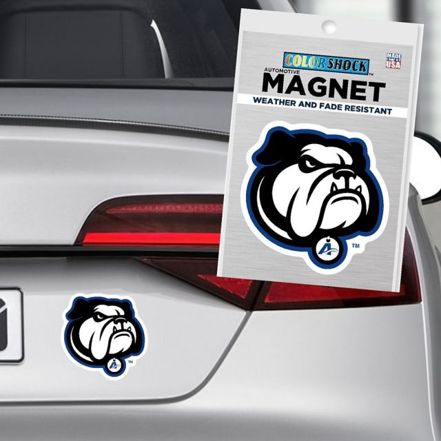 University of North Carolina at Asheville Bulldogs 4" x 4" Magnet