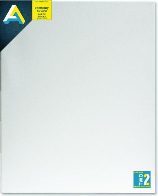 CANVAS VALUE PAK 24X30 2PC