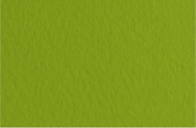 FABRIANO TIZIANO SHEETS 20X26 PISTACHIO