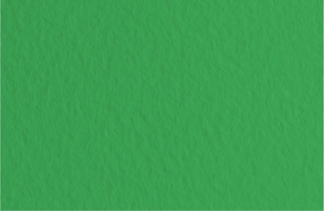 FABRIANO TIZIANO SHEETS 20X26 EMERALD GREEN - In Store Only
