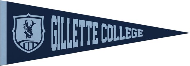 Northern Wyoming Community College  Pronghorns 5x15 Pennant