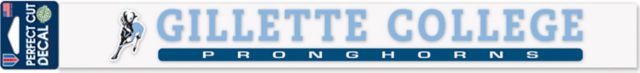 Northern Wyoming Community College  3 x 10 Perfect Cut Decal