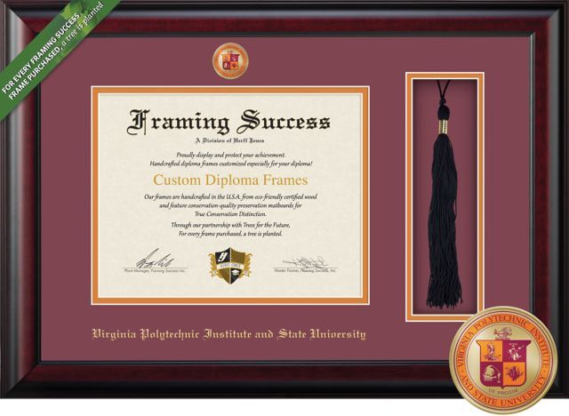 Framing Success Classic 13.5 x 15.5 Diploma and Tassel Cut-out with Double Mat and Colored Medallion - ONLINE ONLY