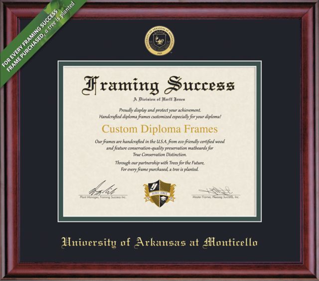 Framing Success Classic 8.5 x 11 Diploma with Double mat- ONLINE ONLY