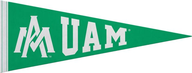 University of Arkansas at Monticello 9"X24" Full Color Pennant