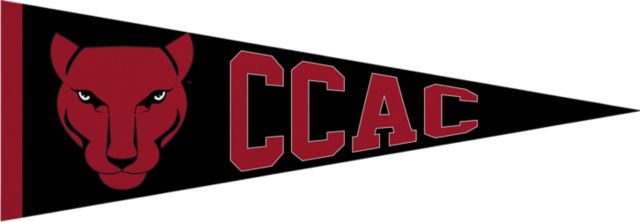 Community College of Allegheny County 5x15 Pennant