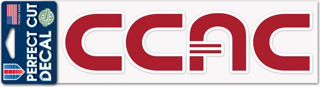 Community College of Allegheny County 3 x 10 Decal