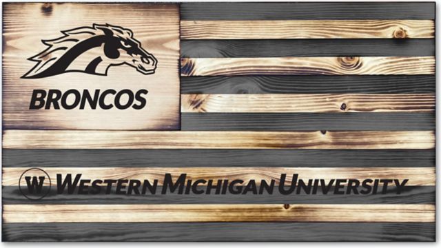 Western Michigan University Broncos Dartboard Cabinet