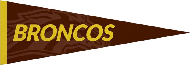 Western Michigan University 5x15 Pennant