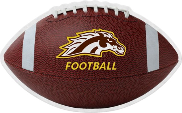 Western Michigan University 18x18 Football Pennant