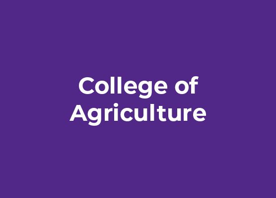 College of Agriculture