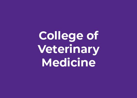 College of Veterinary Medicine