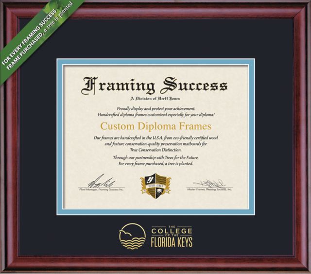 Framing Success Classic 8.5 x 11 Diploma with Double mat- ONLINE ONLY