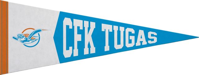 The College of the Florida Keys 9x24 Pennant