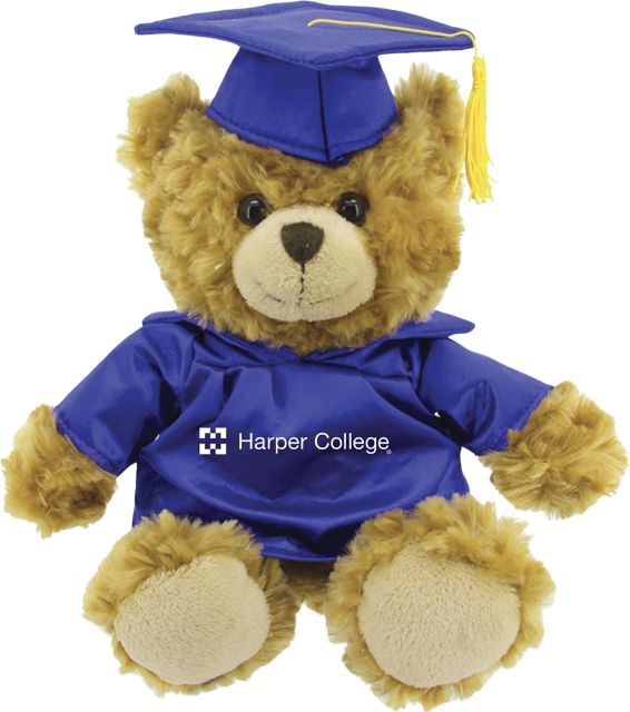 Harper College 10'' Graduation Bear
