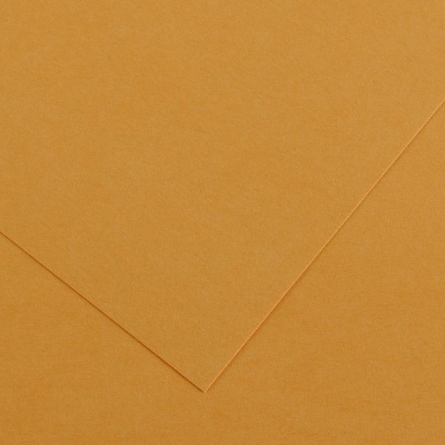 COLORLINE SHEETS 150GSM 19X25 LEATHER