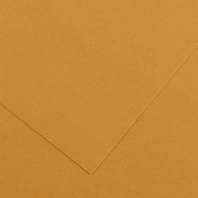COLORLINE SHEETS 300GSM 19X25 LEATHER