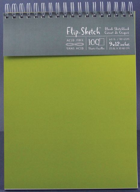 FLIP SKETCHBOOK 9X12 FERN 100 SHEETS