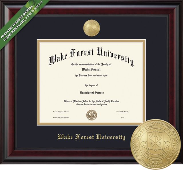 Framing Success Classic 11 x 14 BA/MA Diploma with Double mat and Medallion