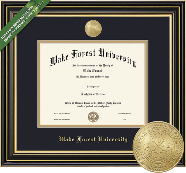 Framing Success Prestige 11 x 14 BA/MA Diploma with Double mat and Medallion