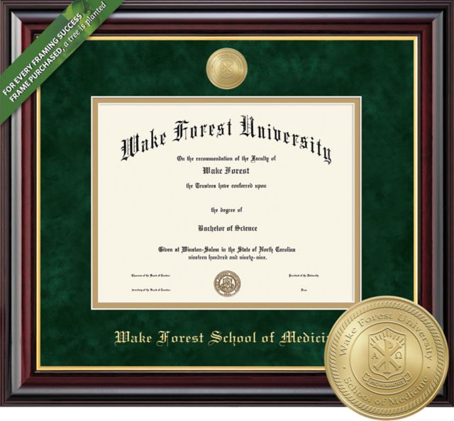 Framing Success Windsor 11 x 14 MD/PA Diploma with Double mat and Medallion