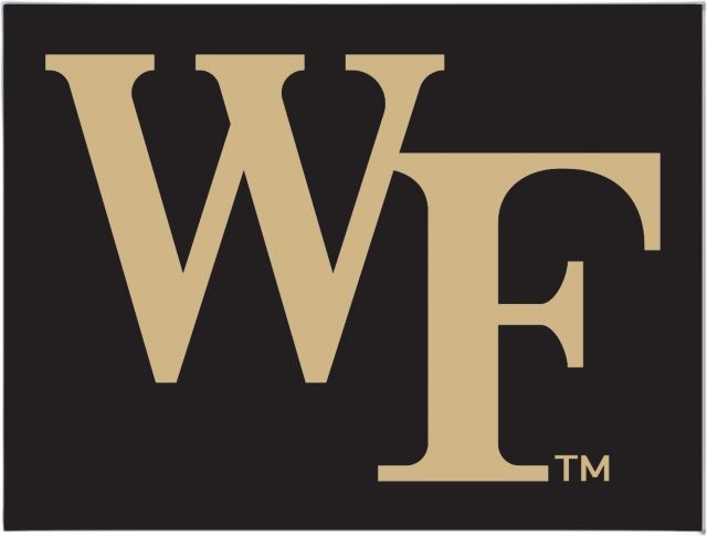 Foxboro Rectangular Lapel Pin