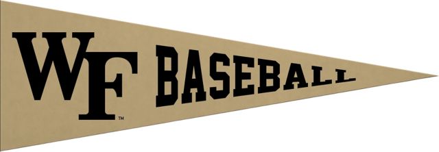 Wake Forest University 5x15 Baseball Pennant