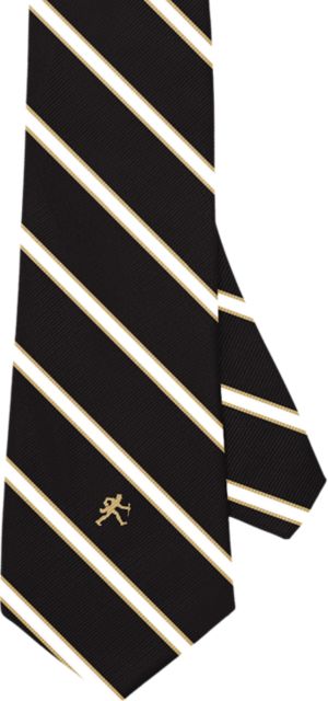 Wake Forest University 56'' Silk Tie