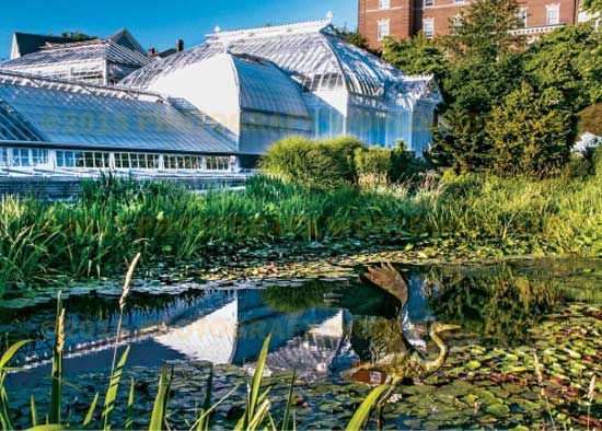 Smith College 5''x7'' Postcard