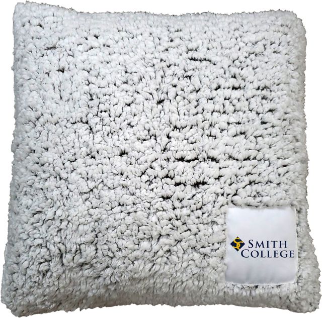 Smith College 16'' x 16'' Frosty Throw Pillow