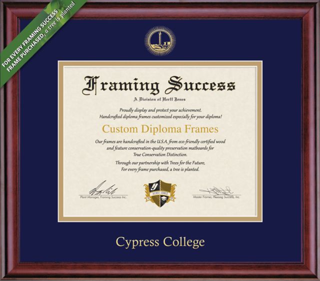 Framing Success Classic 8 x 10 Diploma with Double mat- ONLINE ONLY