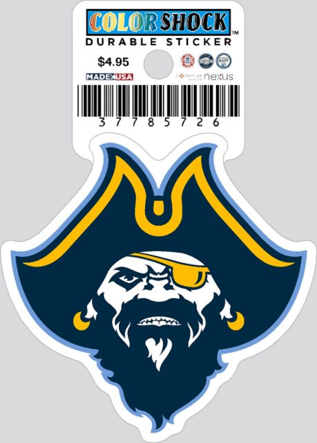 University of Massachusetts Dartmouth Corsairs Durable Sticker